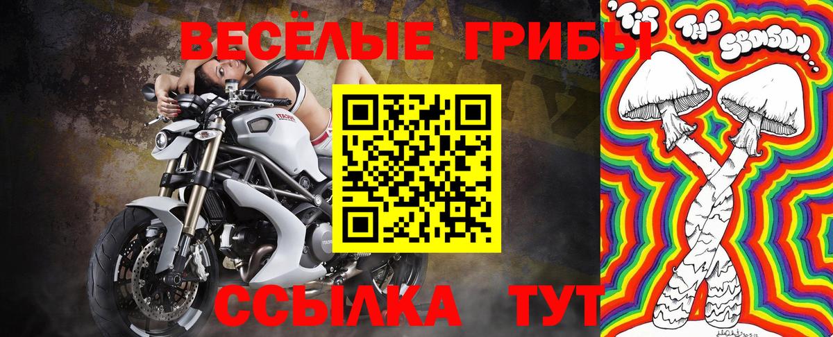 Галлюциногенные грибы прущие грибы Ачхой-Мартан