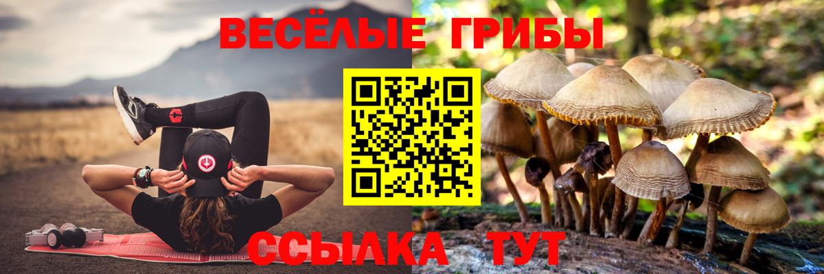 Ачхой-Мартан  Псилоцибиновые грибы Magic Shrooms  Вход с VPN  Псилоцибиновые грибы ЛСД 