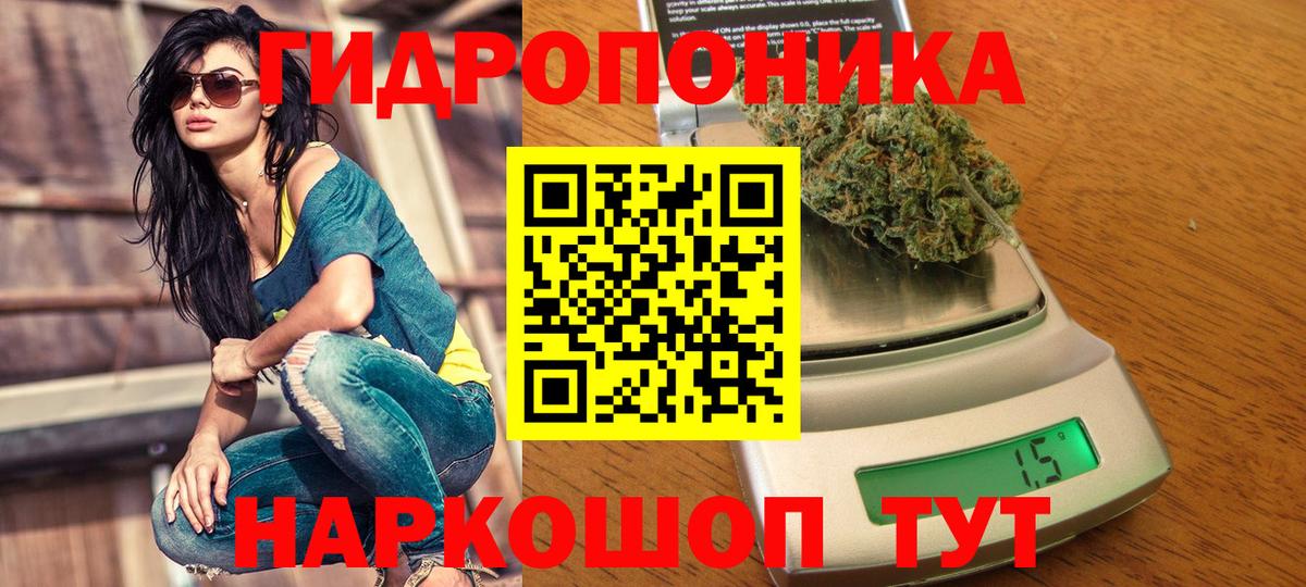 Ачхой-Мартан  Шишки марихуана OG Kush  Бошки марихуана марихуана  Вход с VPN  Бошки марихуана THC 21% 